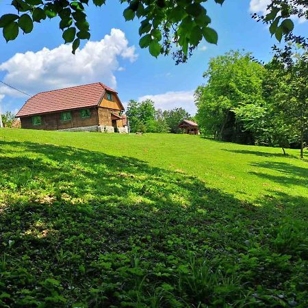 Vila Bakina Iza Duga Resa Exteriér fotografie