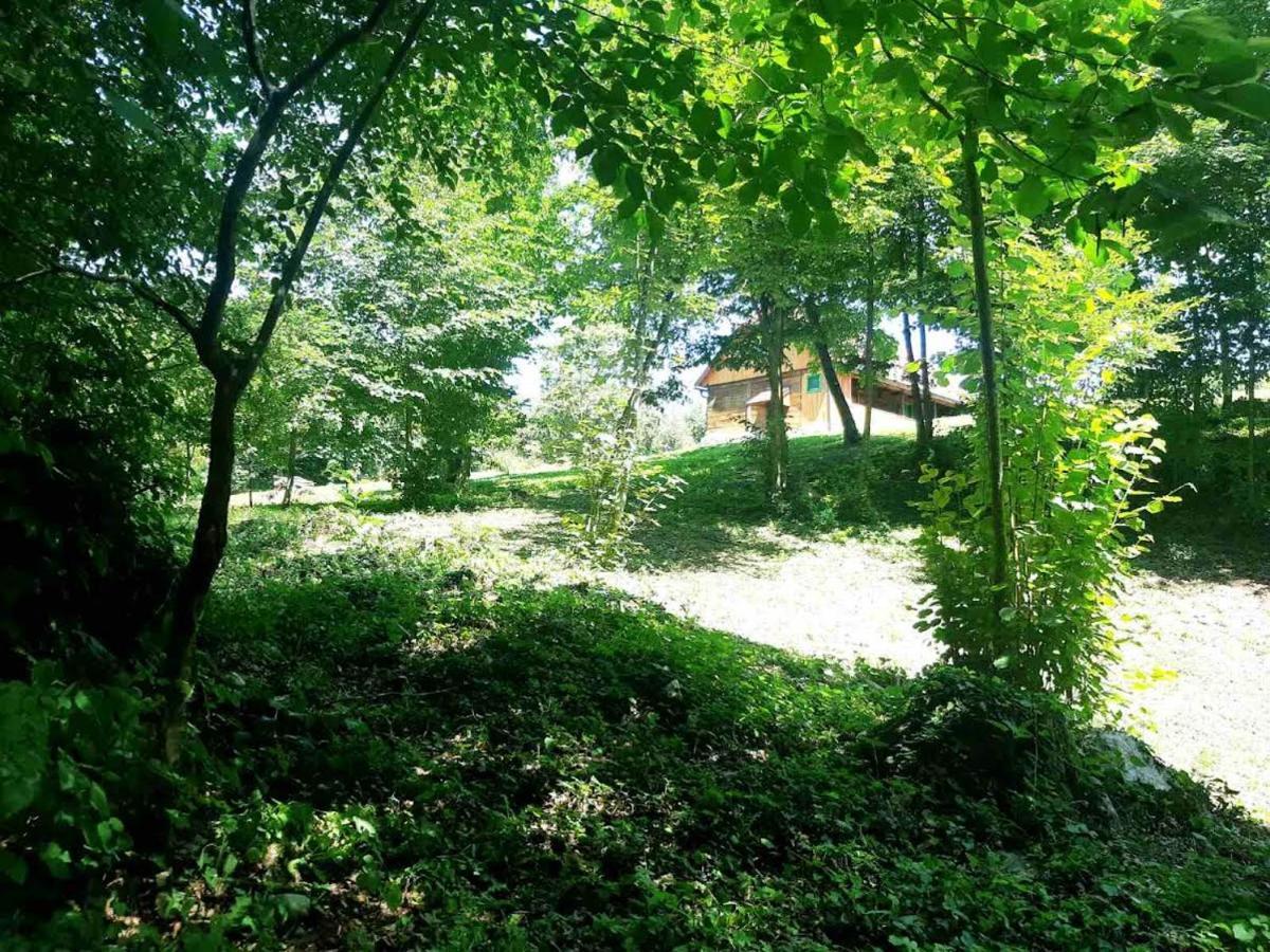 Vila Bakina Iza Duga Resa Exteriér fotografie