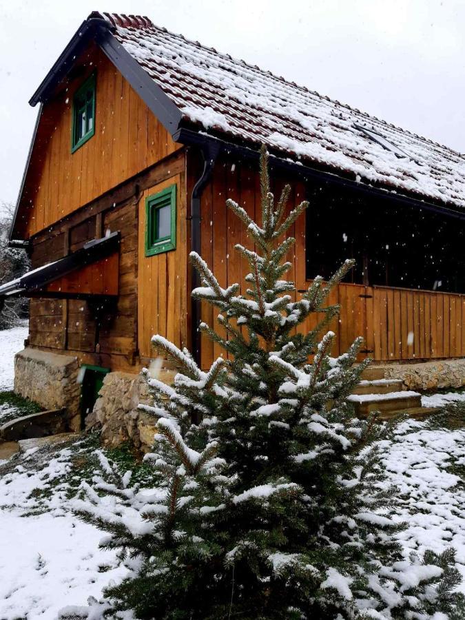 Vila Bakina Iza Duga Resa Exteriér fotografie