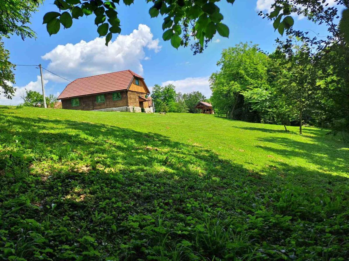 Vila Bakina Iza Duga Resa Exteriér fotografie